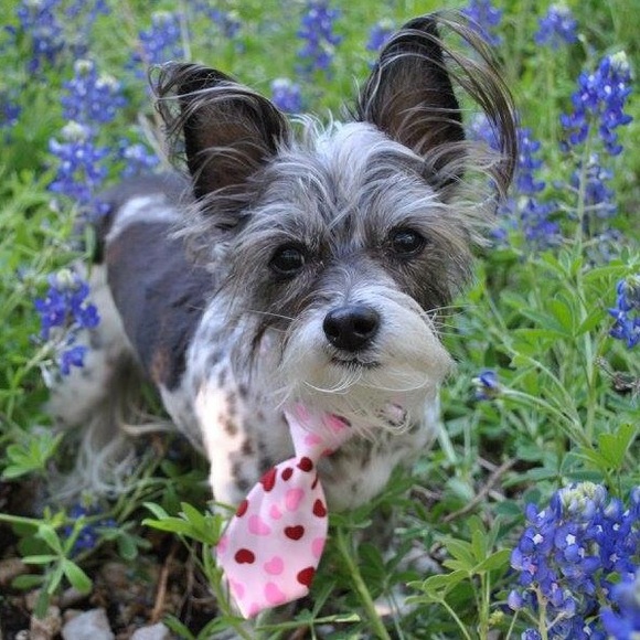 I give free shares for ♥️ - Picture 2 of 9